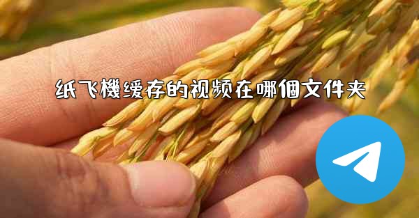 纸飞機缓存的视频在哪個文件夹