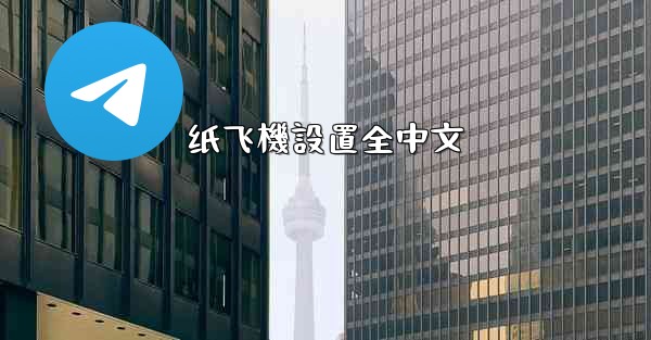 纸飞機設置全中文