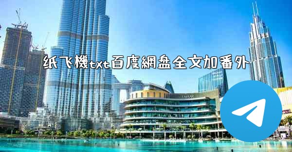 纸飞機txt百度網盘全文加番外