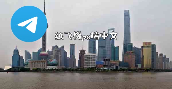 纸飞機pc端中文