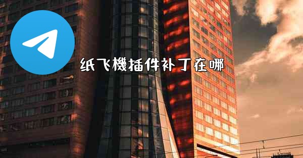 纸飞機插件补丁在哪