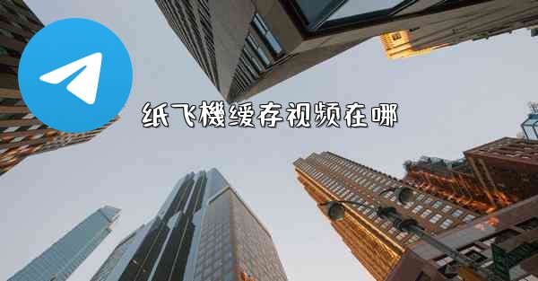 纸飞機缓存视频在哪