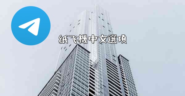 纸飞機中文選項