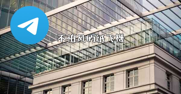 不怕风的纸飞機