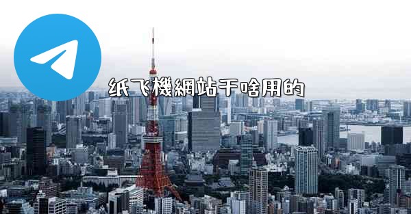 纸飞機網站干啥用的