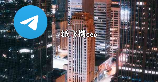 纸飞機ceo