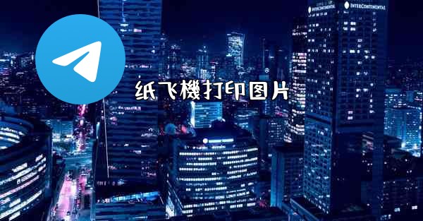 纸飞機打印图片