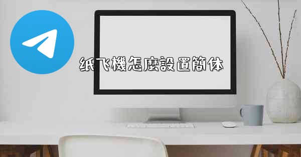 纸飞機怎麼設置簡体