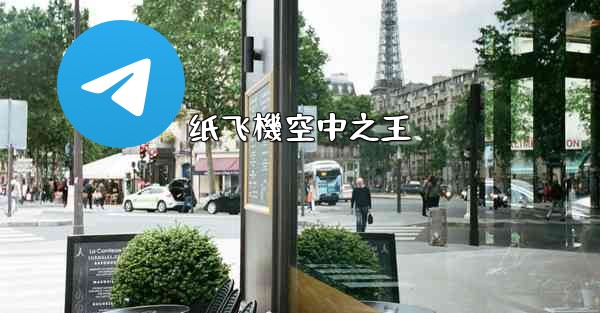 纸飞機空中之王