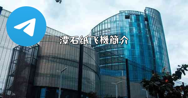 潭石纸飞機簡介