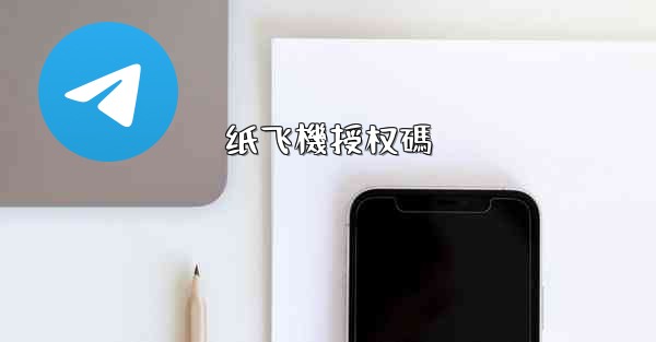 纸飞機授权碼