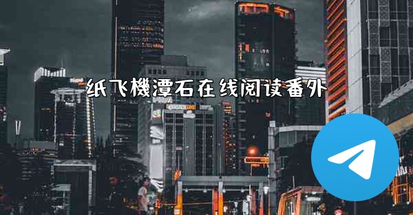 纸飞機潭石在线阅读番外