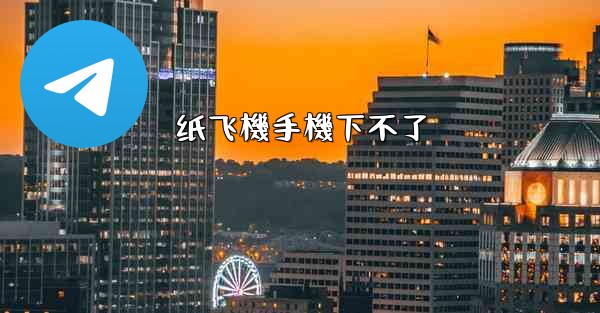 纸飞機手機下不了
