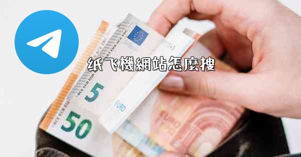 纸飞機網站怎麼搜