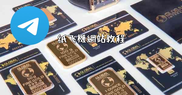 纸飞機網站教程