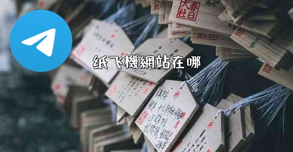 纸飞機網站在哪
