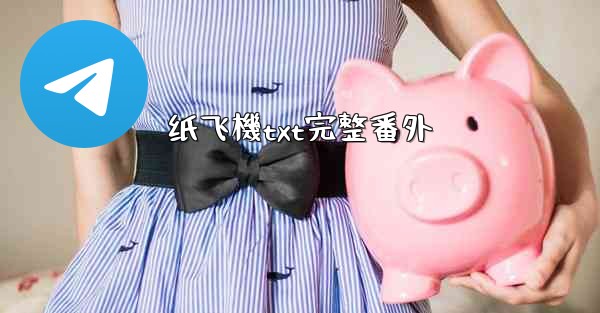 纸飞機txt完整番外