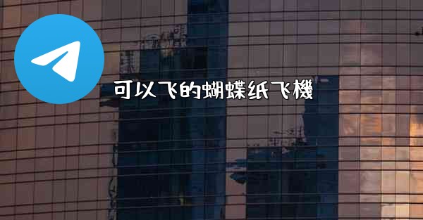 可以飞的蝴蝶纸飞機