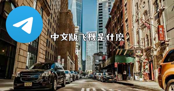 中文版飞機是什麼