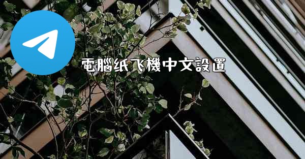 電腦纸飞機中文設置