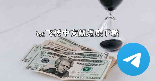 ios飞機中文版怎麼下載