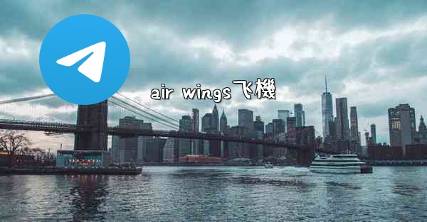 <b>air wings飞機</b>