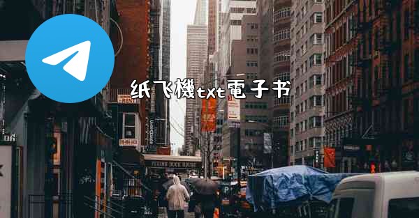 纸飞機txt電子书