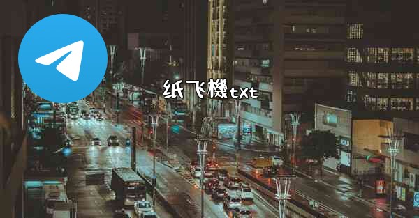 纸飞機txt