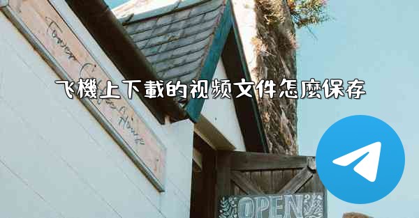 飞機上下載的视频文件怎麼保存