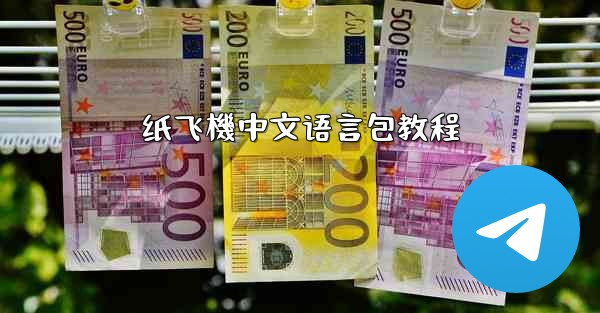 纸飞機中文语言包教程
