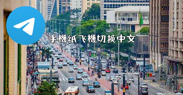 手機纸飞機切换中文