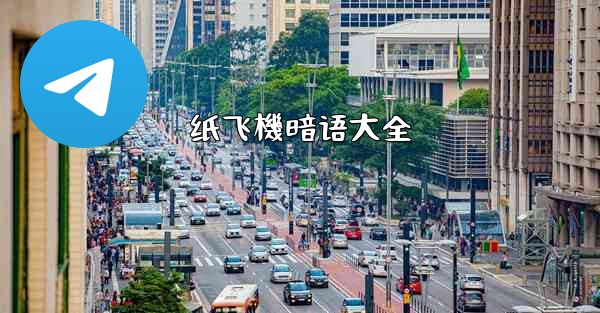 纸飞機暗语大全