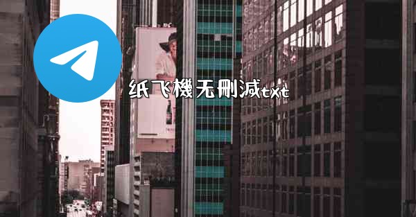 纸飞機无刪減txt