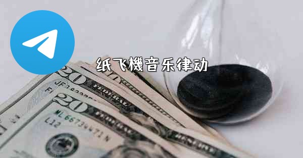 纸飞機音乐律动