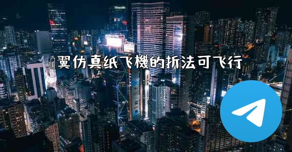 鸭翼仿真纸飞機的折法可飞行