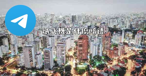 纸飞機是什麼暗语