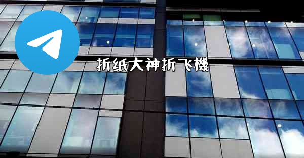 折纸大神折飞機