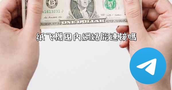 纸飞機國內網絡能連接嗎