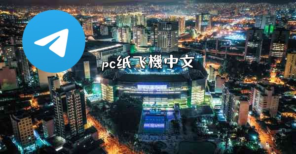 pc纸飞機中文