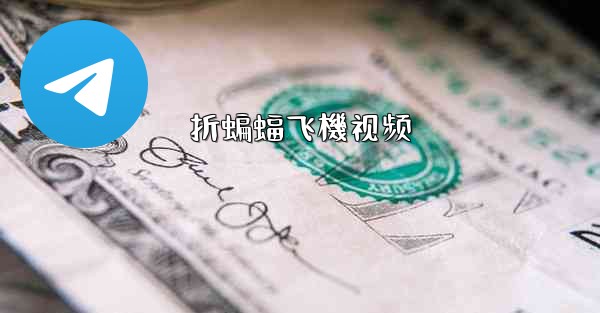 折蝙蝠飞機视频