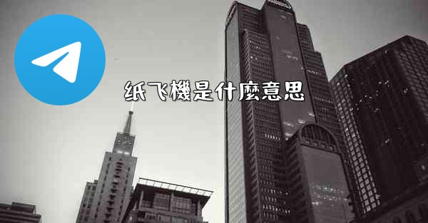 纸飞機是什麼意思