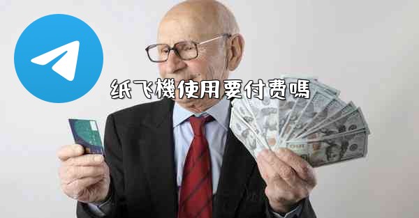 纸飞機使用要付费嗎