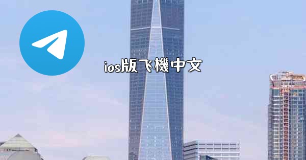 ios版飞機中文
