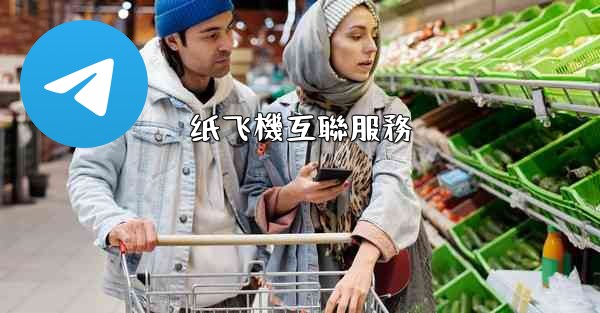 <b>纸飞機互聯服務</b>