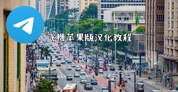 <b>飞機苹果版汉化教程</b>