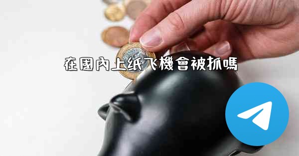 在國內上纸飞機會被抓嗎