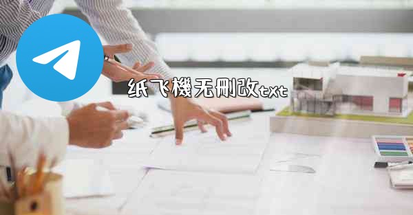 纸飞機无刪改txt