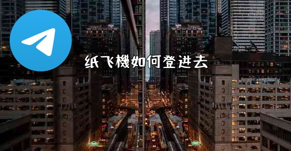 纸飞機如何登进去