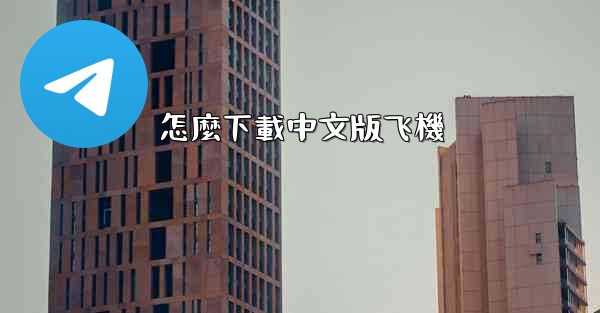 怎麼下載中文版飞機