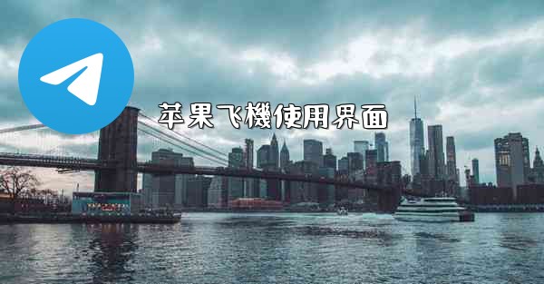 苹果飞機使用界面